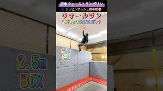 #府中ｳｫｰﾙﾄﾗﾝﾎﾟﾘﾝ#ウォールラン #run#mario#wall #trampoline#jump#府中市鵜飼町#ウォールトランポリン#ホッピンマッシュ府中店#shorts