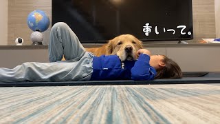 大きくなった姉の上で、その身を任せてくつろぐ愛犬【ゴールデンレトリバー】