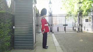 The Queen's guard   London