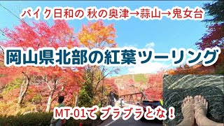 【バイク日和の 奥津→蒜山→鬼女台】岡山県北部の紅葉ツーリング【MT-01で ブラブラとな！】