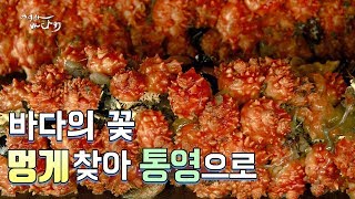 바다향 가득 통영 봄여행-동피랑벽화마을\u0026멍게비빔밥\u0026윤이상기념관 [어영차바다야]