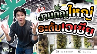 งานกัญชา กัญชง ใหญ่ระดับเอเชีย - Asia International Hemp Expo 2022 - EP.4