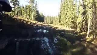 Quadding at Mclean creek