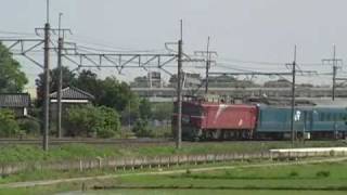 EF81 81牽引の北斗星　東鷲宮－栗橋間