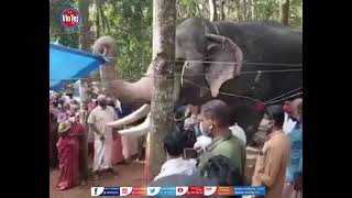 Elephant pays Last Tributes to Mahout Elephant keeper at funeral Sad Hearttouching moment | Vintejtv