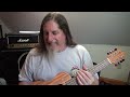 kmise 8 string ukulele review