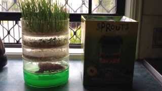 Indoor Garden - Kitchen Seed Sprouter - Product Review