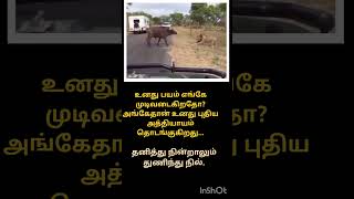 தனித்து நின்றாலும் துணிந்து நில்...