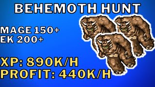 BEHEMOTH HUNT (Forbidden Lands of Tiquanda)(XP: 890K/H PROFIT: 440K/H) EK 200+ / MAGE 150+ | TIBIA