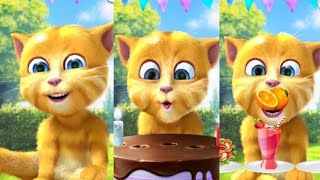 talking ginger 2 funny cat videos 🤣 trending eat healthy foods 🥪🍍🌶️🍰🍉🥞🍓🍔😱 #catlover #funnyvideo