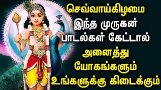 செவ்வாய்கிழமை இந்த முருகன் பாடல்கள் கேட்டால் அனைத்து யோகங்களும்  உங்களுக்கு கிடைக்கும்| Murugan Song