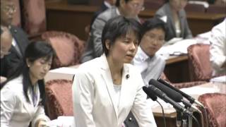 7.27参院一体改革特別委（民主党）吉川沙織