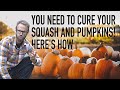 DON'T Just harvest your Squash and Pumpkins - CURE Them!