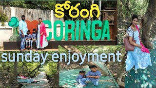 కోరంగి Vlog//కోరంగి ప్రకృతి అందం👌🌱🍀 / Sunday enjoyment in korangi // Korangi Wild life Sanctuary //