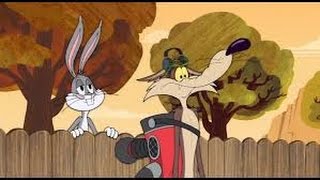 Wabbit Tom & Jerry ✿ 4
