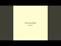 Harmony Neon