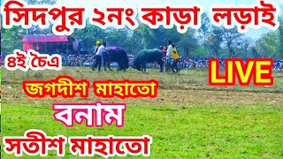 সিদপুর ২নং কাড়া লড়াই 💥জগদীশ মাহাতো বনাম সতীশ মাহাতো saidpur kara larai 2022