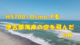 豊橋　伊古部海岸空撮（Osmo-P　 ｼｮｰﾄﾊﾞｰｼﾞｮﾝ）