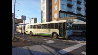 Special: Sainte-Julie/Transdev Orion V 3532(24)5 departing Longueuil! (Oct. 14, 2016)