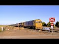 7732V Pacific National Grain Train With G527 X50 BL31 At Gheringhap (5/11/2024) - PoathTV Railway