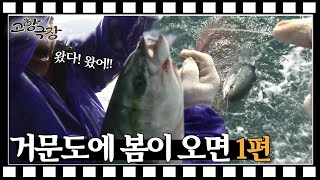 [고향극장] ep20.거문도에 봄이 오면 1편  l KBS 20120229 방송