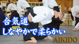 合気道‐しなやかで柔らかい身体操法 Aikido - Soft and dynamic body control