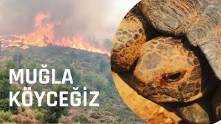 MUĞLA KÖYCEĞİZ YANGIN FELAKETİ