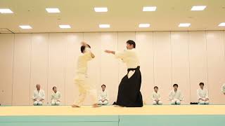 Meishinryu Aikido 明真流　合気道の稽古　2019 1214