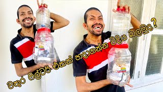 වතුර ෆිල්ටර් එකක් හදාගන්න විදිය බලමුද? | Let's see how to make a water filter