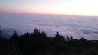 美ヶ原高原美術館・雲海