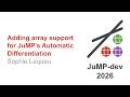 Adding array support for JuMP’s Automatic Differentiation | Sophie Lequeu