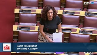 Μ. Κομνηνάκα: Καθυστέρηση στη διανομή τους με ευθύνη της κυβέρνησης κι ενώ η ακρίβεια καλπάζει