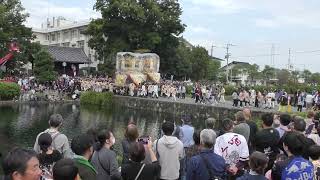 西条祭り 伊曽乃神社例大祭  20241016  御殿前　#祭り#まつり#西条祭り＃伊曽乃神社#御殿前#みこし#太鼓台#だんじり#西条市