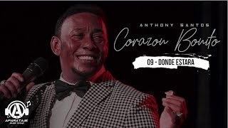 Anthony Santos -A Donde Estara ( Audio Oficial )