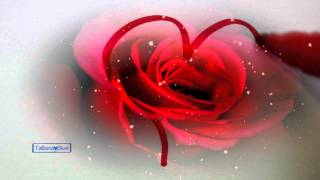 Happy Valentine's Day! - Martina McBride \u0026 Jim Brickman (Valentine)