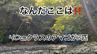 40クラスの大アマゴが3匹いた堰堤の浅瀬‼️