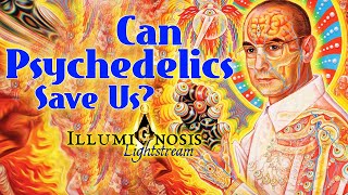 Can Psychedelics Solve Humanity's Greatest Problem?