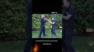 Wing Chun vs Mantis Kung Fu Techniques - Part 4 #shorts