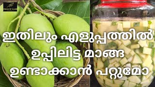 വായയിൽ കൊതിയൂറും ഉപ്പുമാങ്ങ//PIKKY'Z VLOG//😋😋