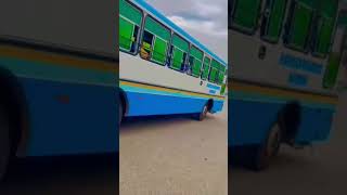 new route start from bhiwani #viralvideo #haryanaroadways