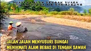 Menyusuri Sungai Ada Satu Rumah Terpencil Di Pinggir Sungai Setiap Hari Menyaksikan Banjir