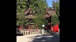 群馬県富岡市  貫前神社にてご祈祷の太鼓が！