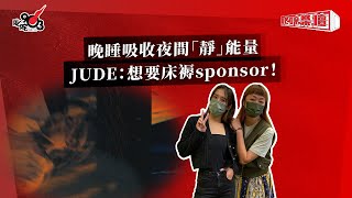 晚睡吸收夜間「靜」能量  JUDE：想要床褥sponsor！