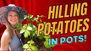 Ultimate Guide to Hilling Potatoes in Containers: Soil, Varieties, and Step-by-Step Instructions