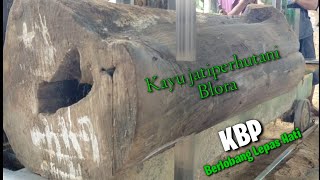 Sawmill.(KBP)Kayu Bahan Pertukangan,Kayu Jati kering perhutani Blora.Indonesian Sawing, Wood working