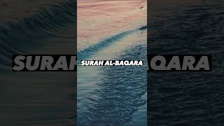 SURAH AL-BAQARA |Ayaat 109+110| Recitation by Mishary Rashid Alafasy | Islam The Heavenly Path