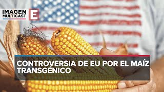 El panel de controversia de Estados Unidos por el maíz transgénico