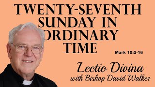 Lectio Reflection - Twenty-Seventh Sunday in Ordinary Time - Mark 10:2-16 (Year B 2024)