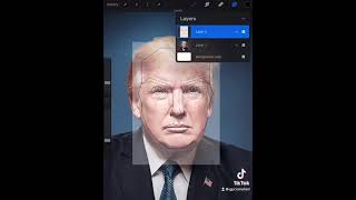 Trump Perfect Face Template Procreate