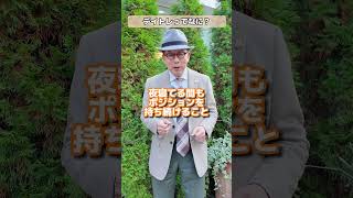 デイトレってなに？【小次郎講師の1分間投資講座】#投資 #株 #投資初心者  ＃shorts #お金 #投資教育